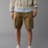 AE Flex 10" Lived-In Cargo Short -Aerie 0131 7337 238 of