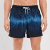 AE 5.5" Swim Trunk -Aerie 0133 7442 487 of