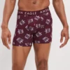 AEO Glass Turtles 6" Classic Boxer Brief -Aerie 0235 3413 613 of