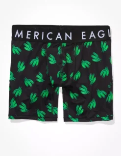 AEO Neon Cacti 6" Flex Boxer Brief -Aerie 0236 3458 001 f
