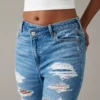 AE Strigid Patched Mom Jean -Aerie 0436 4681 912 of