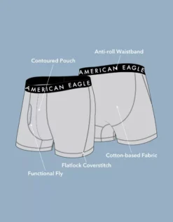 AE 4.5" Classic Boxer Brief 5-Pack -Aerie 3234 3543 900 d3
