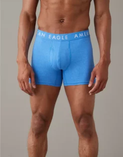 AEO 4.5" Classic Boxer Brief