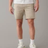 AE Carpenter Short -Aerie 4133 7575 273 of